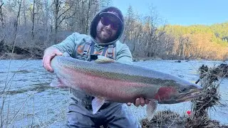 Coastal River Winter Steelhead Fishing - MONSTER Fish Caught 