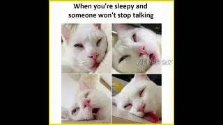 Funny Memes That Will Make You Laugh (#859)| Relatable Memes | Funny Picture Memes😃 #shorts