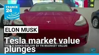 Tesla sinks below $1tn market value amid Musk backlash &bull; FRANCE 24 English