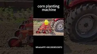 Hot-Selling Corn Planter Machine | Maize pPlanting mMachine for Sowing Corn#cornplanting