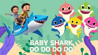 Baby Shark Dance & Learn Colors 🌈🦈 | Ocean Adventure Song for Kids | 3D Nursery Rhymes