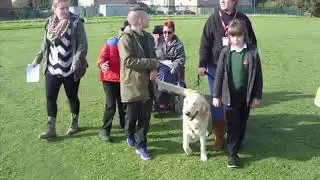 Powerful Pets - a unique approach to improving public health