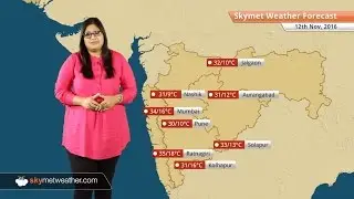 Weather Forecast for Maharashtra for Nov 12: Night temperatures to remain below normal