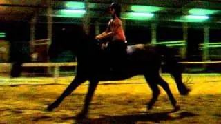 DSCF0462