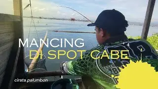 mancing#cirata spot cabe palumbon taneh berem