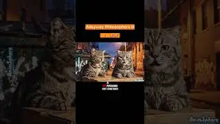 Alleyway Philosophers III! 😺😸😻😼