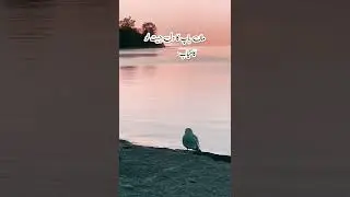 quotes collections | Mother Quotes
