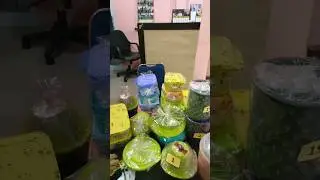 jam istirahat isoma✖️ jam istirahat berkreasi membingkis🎁 #Indonesia #KepulauanRiau #Kepri