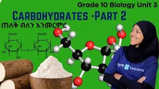 Grade 10 Biology Unit 3: 3.1.3 Carbohydrates - part 2|ሳቋማ |Saquama