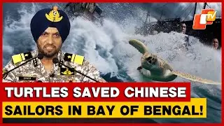 Indian Coast Guard IG Shares Real-Life Sea Rescue Story When Olive Ridleys Saved People
