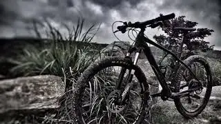 ORBEA ALMA