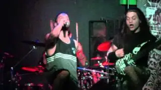 Insane Therapy - Live at Zoccolo 2.0
