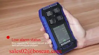 bh 4s gas detector