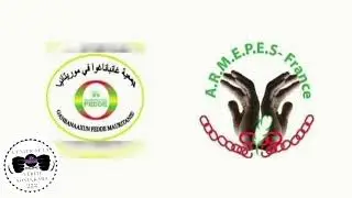 DECLARATION DES ASSOCIATIONS MILITANTES POUR L'EGALITE ET LE RESPEMAURITANIE
