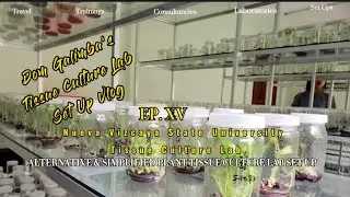 Banana Tissue Culture Research Laboratory in Nueva Vizcaya, Philippines