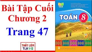 Toán Lớp 8 | Bài Tập Cuối Chương 2 | Trang 47 | Kết Nối Tri Thức