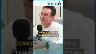 Psyllium: o melhor inibidor de apetite? Tiago Rocha explica!