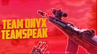 TeamOnyx | Teamspeak | Altel Cyber Games