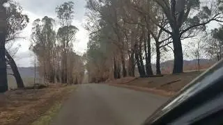 Lake Buffalo Drive Home