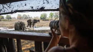 Kanga's Photographic Hide | Mana Pools | Zimbabwe