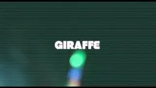 Giraffe Light Sabre - Tom and Hellhog