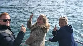 Stardust Boat Trips, Isle Of Skye