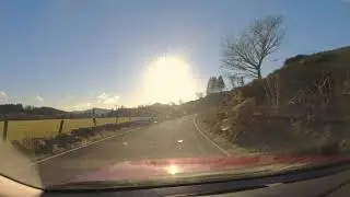 Forest to Home