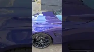 bmw m4 heritage Velvet Blue