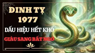 🐍 Đinh Tỵ 1977: Chúc Mừng Anh Chị 9 Dấu Hiệu Trời Ban Lộc Lớn, Từ 48 Tuổi Hết Khổ, Giàu Sang Bất Ngờ
