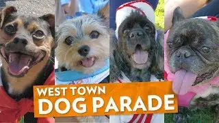 Dogs on Parade: Scenes from West Town&rsquo;s Cutest Summer Fest