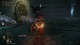 how to kill cemetery shade:elden ring