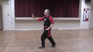 Tai Chi Flying Hand Li (Lee) Family Style Section 3