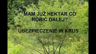 #42 MAM JUŻ ZIEMIE JAK ZAREJESTROWAĆ SIĘ W KRUS? PORADY I WSKAZ&Oacute;WKI KROK PO KROKU