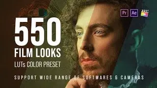 Film Looks / LUT Color Presets Pack ▶▷ Premiere Pro Trends ◁◀
