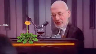 Peter Lustig - Piano Man