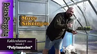 Køkkenhaven: Polytunnel