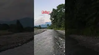 Roing nature