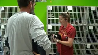 Decatur High School students raise money to help animal shelter