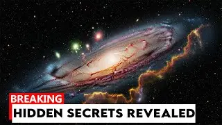 NASA&rsquo;s Webb Space Telescope Reveals Hidden Secrets of the Circinus Galaxy What