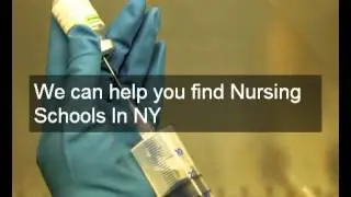 top|nursing schools in Buffalo NY|42.886452,-78.878351|accredited |nursing schools in Buffalo NY