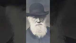 Four famous historical figures known for their beards.