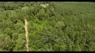 3 Acres for Sale in Bruce, MS | Rexanne Collins Market Realty