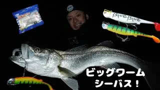 BlueBlueジョルムーア6インチ ビッグワームシーバスキャッチ！