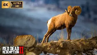REAL HUNTER™ | 𝒞𝒶𝓂𝓅𝒾𝓃𝑔 & 𝑅𝑒𝓁𝒶𝓍𝒾𝓃𝑔 𝓃𝒾𝑔𝒽𝓉 𝒽𝓊𝓃𝓉: 𝑅𝑒𝒶𝓁𝒾𝓈𝓉𝒾𝒸 𝑅𝑜𝒶𝓁𝓉𝓎 𝒾𝓃 𝑅𝒹𝑅2 [4K]