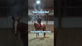 Magical Horse Club - Glow prefers the heat off!