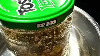 Herbal infused honey for respiratory support 