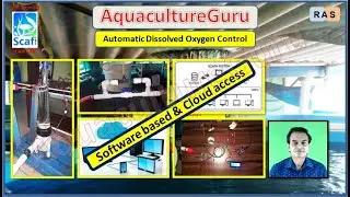 AquacultureGuru - Automatic Software Controlled Dissolved Oxygen Value in grow-out culture -  #ras