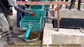 Double screw palm oil press machine full test process