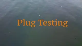 Plug Testing 4 #fishing #fishinglure #woodworking