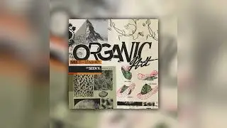 ORGANIC ART - MUTLI KIT (LIVE RECORDED PHRASES, INTRUMENTS, LOOPS)